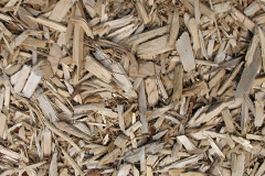 biomass boilers Acre